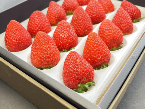 今だけ６００円OFF!!3％の奇跡のいちご＊大玉よつぼし贈答用箱４５０ｇ