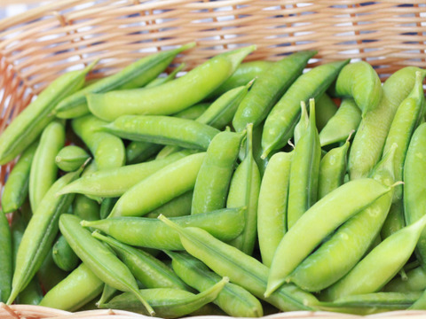 関西の春を告げる味わい　うすいえんどう 2kg