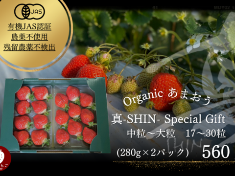 【贈答】オーガニックあまおうスペシャルギフト(280g×2P)