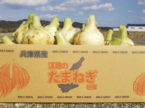 《期間限定》【淡路島産】 毎年好評甘くて美味しい極早生新玉ねぎ 5kg