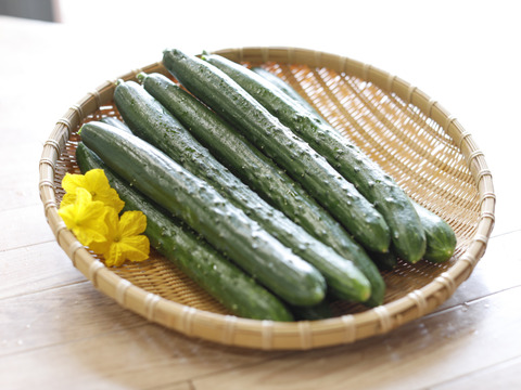 生でそのままガブリ！旨味にこだわった極旨秩父きゅうり良選【特別栽培、約２㎏】