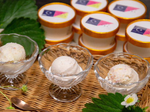【12個入り】いちご農家の『いちごジェラート』３種