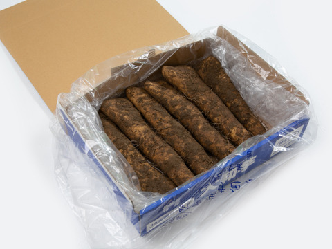 粘りが強い大和芋 2kg