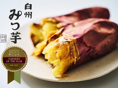 【3月19日発送】日本さつまいもサミット Farmers of the year2022-2023に選定、2年連続野菜ソムリエサミット金賞受賞！白州みつ芋の焼き芋セット（約5袋入り）