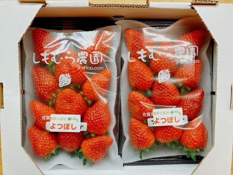 今だけ２００円OFF!!中まで真っ赤！甘い‼いちご‼【よつぼし】☆230ｇ×2パック入り【佐賀県産】