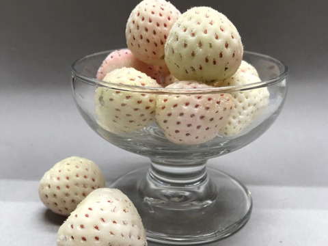 【天使のいちご】冷凍　希少白いちご500ｇ！！