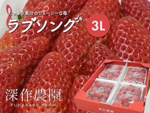 たっぷり果汁のジューシーないちご！いちご（苺・イチゴ） オリジナルブランド苺　ラブソング【3Lサイズ×4パック】