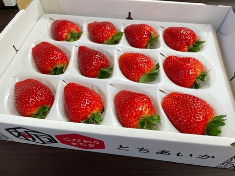 『大粒とちあいか』フレーズのこだわりいちご