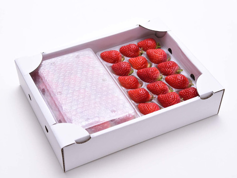 甘味果汁じゅわぁっ！稀少ないちご「あまえくぼ」15玉入り2パック（ゆりかーご輸送）