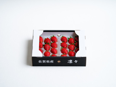 佐賀県新品種🍓いちごさん（250g×2）