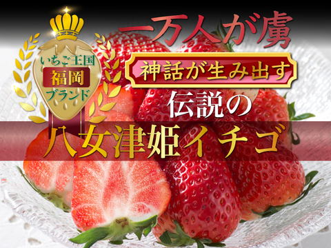 【ミシュラン御用達】🍓やみつきリピーター続出🍓累計数十万人が虜になる実力糖度『八女津姫ブランドいちご』大容量パッケージ3月下旬ごろ発送