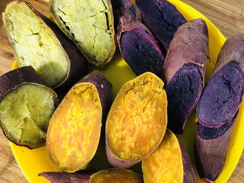 さつまいも４種おまかせ食べ比べセット2.1kg