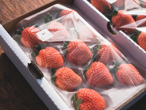 超希少！桃味のイチゴ桃薫2P　お得なご家庭用　220g×2p 【春ギフト】