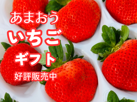今だけ即出荷【🎁ギフト🎁】🍓福岡県産🍓 空中で真っ赤に実る🍓　　　　　　　　　　　　　　　　
【🍓あまおういちご🍓】250g×2パック