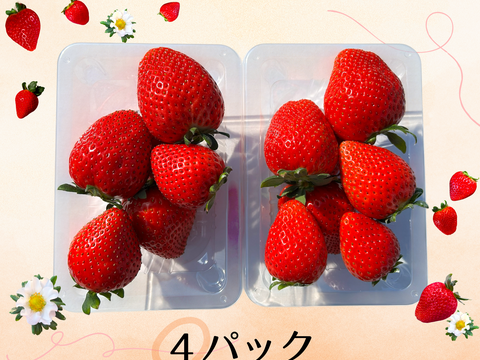 高糖度♡朝採れ直送🍓甘くてジューシー！【とちあいか】2段詰4パック