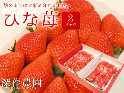 オリジナルブランド苺　ひな苺【3Lサイズ×2パック】娘のように大切に育てました！いちご（苺・イチゴ）