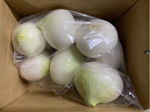 ‼️白剥き玉ねぎ2.5kgお買い得‼️淡路島玉ねぎ白剥き‼️主婦の味方❗️生ゴミ無し❗️即使える❗️特別栽培農産物　シャーロットオニオン