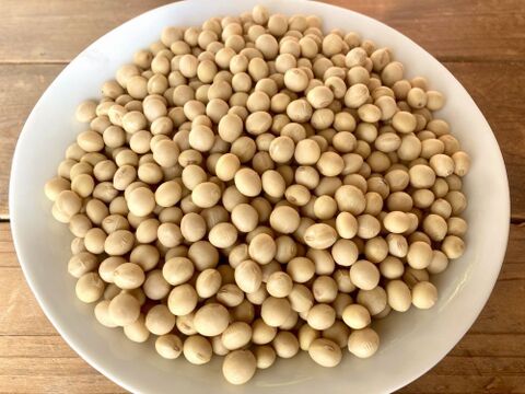 【自然栽培】大豆（もち大豆）900g　農薬不使用・無肥料栽培　自然乾燥　令和6年【岐阜県産】クリックポスト発送