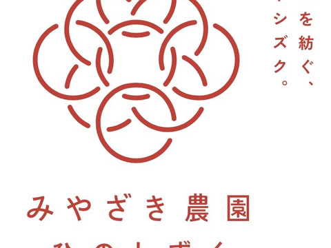 超希少！熊本県ブランド品種『ひのしずく』３００g✖️２P