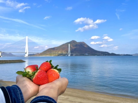 【食べ比べ】えひめのブランドいちご『あまおとめ』vs『紅い雫』。どっちも食べたい！にこにこセット。
