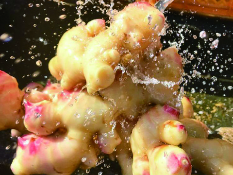 【付録：生姜レシピ】(業務用)柔らかい！薬味屋人作の島原百年生姜®〈熟成生姜〉（4kg）