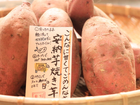 《予約販売》一番甘い時期を逃さないで！リピーター続出【厳選】熟成安納芋（3㎏）蜜いっぱいの焼き芋がご家庭で🍯🍠ひとつひとつ紙に包んでお届けでプレゼントにも💕熨斗承ります。ホワイトデーにも！