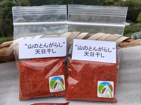 辛くておいしい！山のとんがらし（20g×2袋）【一味唐辛子】
