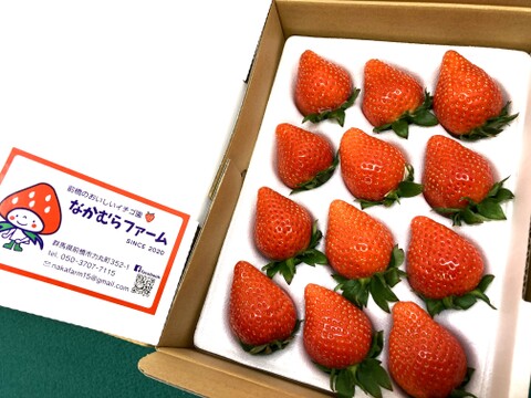 【大粒】完熟いちご「やよいひめ」箱入り（約４００ｇ）