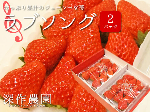 オリジナルブランド苺　ラブソング【3Lサイズ×2パック】たっぷり果汁のジューシーないちご！いちご（苺・イチゴ）