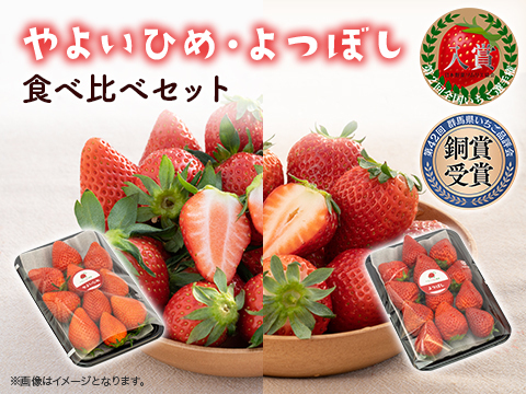 贅沢いちごの食べ比べ！やよいひめ・よつぼしセット250g×2パック