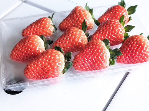 いただきいちご厳選1種　８～１１玉入り約２７０g　【化粧箱でお届けします】
