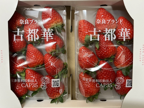 奈良県ブランド高級いちご(古都華)
280g✖️2パック