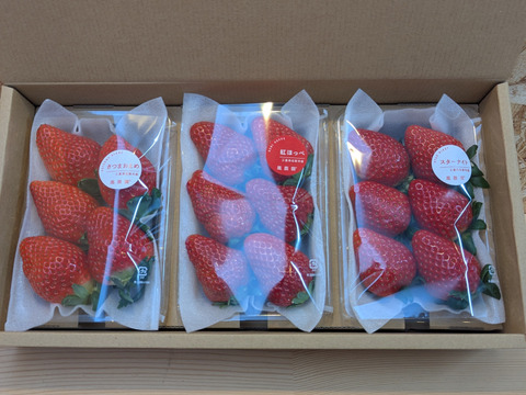 いちご３品種食べ比べセット