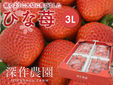 娘のように大切に育てました！いちご（苺・イチゴ）オリジナルブランド苺　ひな苺【3Lサイズ×4パック】