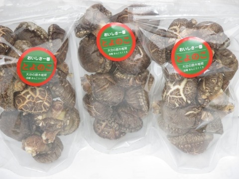 乾しいたけとよのこ　速送（戻しいらず　大分産の肉厚どんこ　 １００ｇ入り３袋　ビタミンDが豊富）【翌日発送 毎日便 対応】