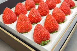 今だけ６００円OFF!!3％の奇跡のいちご＊大玉よつぼし贈答用箱４５０ｇ