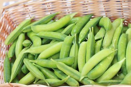 関西の春を告げる味わい　うすいえんどう 2kg