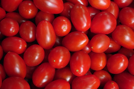 【本当にミニトマトなの？！】新品種『わにつかトマト こくあまプレミアム』【1.2kg】はじけるジューシーな味わい フルーツトマト