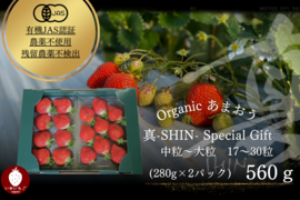 【贈答】オーガニックあまおうスペシャルギフト(280g×2P)