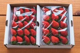 甘くてジューシー！やよいひめ2P お得なご家庭用！（230g×2p）