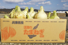  《期間限定》【淡路島産】 毎年好評甘くて美味しい極早生新玉ねぎ 5kg