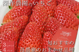茨城いちごグランプリ3年連続受賞！　いちご農家おすすめの旬のいちご　 いちご（苺・イチゴ）【3L×4パック】