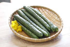 生でそのままガブリ！旨味にこだわった極旨秩父きゅうり良選【特別栽培、約２㎏】