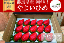 「群馬県いちご品評会最高金賞受賞」朝採れいちご　２箱（計やよいひめ400g x 2シート）