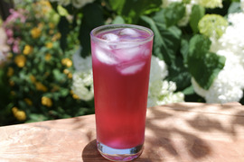 香り豊かなしそシロップ（500ml）3本セット