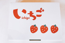 朝どりフレッシュとちおとめ‼️贈答用DXサイズ✖️2パック‼️