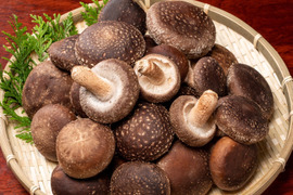 大自然の原木椎茸【1kg】