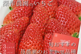 茨城いちごグランプリ3年連続受賞！　いちご農家おすすめの旬のいちご【3L×2パック】　オリジナルブランド いちご（苺・イチゴ）