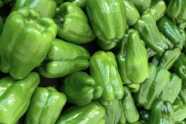 【ツヤッツヤ、たじまのピーマン】　朝採れ発送！　兵庫県香美町産「たじまのピーマン３ｋｇ」