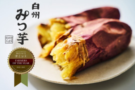 【3月19日発送】日本さつまいもサミット Farmers of the year2022-2023に選定、2年連続野菜ソムリエサミット金賞受賞！白州みつ芋の焼き芋セット（約5袋入り）